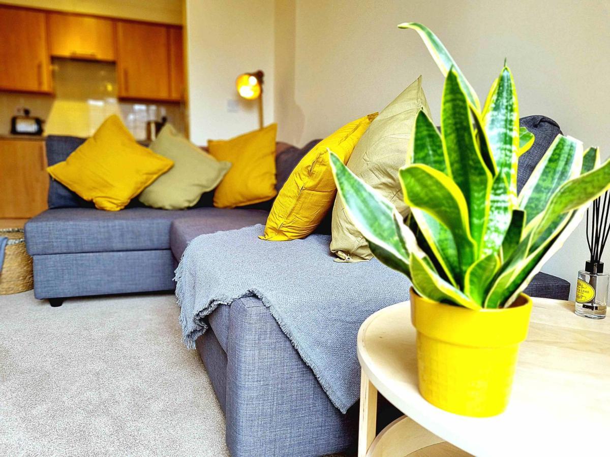 Cityscape Haven: 1 Bedroom Apartment With Terrace And City View 본머스 외부 사진